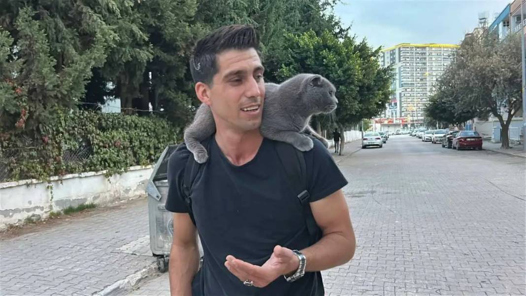 Hatay’da Omuzda Şehri Turlayan Kedi Kentin Maskotu Oldu! 2